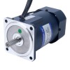 90W 220VAC 50Hz 90-1350RPM 0.675Nm(95.59oz.in) Flange 90mm Single-phase AC Variable Speed Motor - 5IK90RA-CF | StepperOnline CA