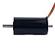 28V 80mNm 140.73W 6.31A Round Ф32x61mm Brushless Coreless Motor - 32CL60-28-P2-16800 | StepperOnline CA