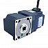 48V 40W 30RPM Geared BLDC Motor 8.00Nm(1132.90oz.in) 100:1 Right Angle Gearbox