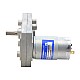 Brushed 12V DC Gear Motor 60Kg.cm/3.5RPM w/ 1166:1 Rectangular Spur Gearbox - FGA-36124500-G1166 | StepperOnline CA Brushed 12V DC Gear Motor 60Kg.cm/3.5RPM w/ 1166:1 Rectangular Spur Gearbox - FGA-36124500-G1166 | StepperOnline CA