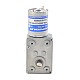 Brushed 12V DC Gear Motor 3Kg.cm/3RPM w/ 828:1 Worm Gearbox - WGA-2430123100-G828 | StepperOnline CA