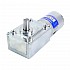 Brushed 24V DC Gear Motor 30Kg.cm/12RPM w/ 422:1 Worm Gearbox