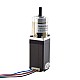 Nema 11 Stepper Motor Bipolar L=55mm w/ Gear Ratio 19:1 Planetary Gearbox - 11HS22-0904S-PG19 | StepperOnline CA
