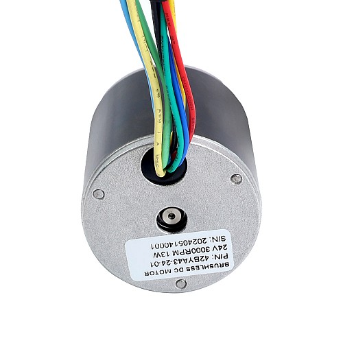 24V 3000RPM 0.04Nm 13W 1.00A Φ42x43mm Brushless DC Motor - 42BYA43-24-01 | StepperOnline CA