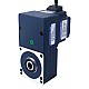 24V 60W 100RPM 4.20Nm(594.77oz.in) 30:1 Geared Brushless DC Motor w/ Parallel Hollow Shaft Gearbox - F4B60-24GL-30S/4GL30RC | StepperOnline CA