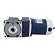 Brushed 12V 60W 8.00Nm(1132.90oz.in) 10RPM w/ 180:1 Right Angle Gearbox DC Gear Motor - F4D60-12GN-18S/4GN180RC | StepperOnline CA Brushed 12V 60W 8.00Nm(1132.90oz.in) 10RPM w/ 180:1 Right Angle Gearbox DC Gear Motor - F4D60-12GN-18S/4GN180RC | StepperOnline CA