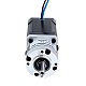 Nema 17 Stepper Motor Bipolar L=60mm w/ Gear Ratio 10:1 MG Series Planetary Gearbox - 17HS24-2104S-MG10 | StepperOnline CA