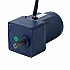15W 110VAC 60Hz 31RPM 3.34Nm(472.98oz.in) Flange 70mm Spur Gearbox Single-phase AC Induction Motor