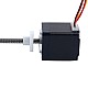 Nema 11 External 34mm Stack 0.75A Lead 0.635mm(0.025") Length 100mm - 11E13S0754ED4-100RS | StepperOnline CA Nema 11 External 34mm Stack 0.75A Lead 0.635mm(0.025") Length 100mm - 11E13S0754ED4-100RS | StepperOnline CA