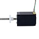 NEMA 11 External Acme Linear Stepper Motor 1.0A 46mm Stack Screw Lead 2.54mm(0.1) Lead Length 250mm - 11E18S1004GD5-250RS | StepperOnline CA NEMA 11 External Acme Linear Stepper Motor 1.0A 46mm Stack Screw Lead 2.54mm(0.1) Lead Length 250mm - 11E18S1004GD5-250RS | StepperOnline CA