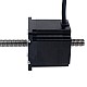 Nema 23 Non-captive 56mm Stack 2A Lead 2mm(0.07874) Length 355mm - 23N22S2004AJ4-355RS | StepperOnline CA