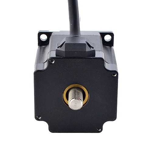 NEMA 23 Non-Captive Acme Linear Stepper Motor 3.0A 56mm Stack Screw Lead 1.27mm(0.05) Lead Length 250mm - 23N22S3004FG5-250RS | StepperOnline CA