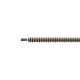 NEMA 8 Non-Captive Acme Linear Stepper Motor 0.5A 38.2mm Stack Screw Lead 1mm(0.03937) Lead Length 150mm - 8N15S0504SC5-150RS | StepperOnline CA