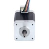 Nema 17 5-Phase Stepper Motor 0.5Nm(70.81oz.in) 1.8A  42x42x60mm 5 Wires - 17HF24-1805S | StepperOnline CA